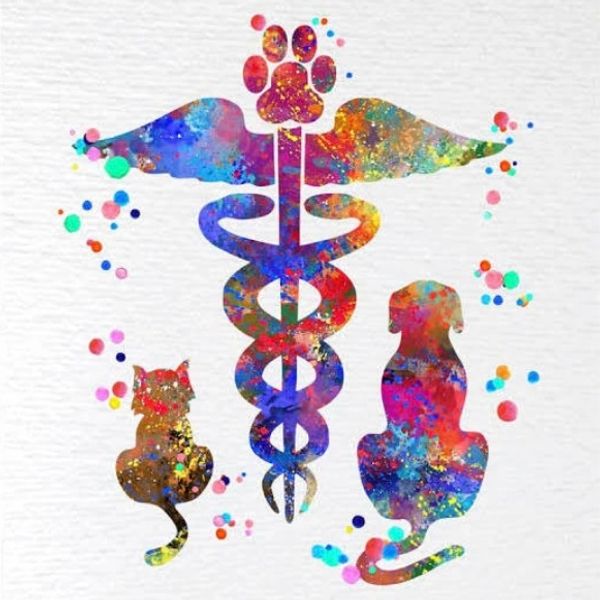 Exciting Things are Beginning to Happen!
We have started a Low Cost Wellness Vet Clinic through the 