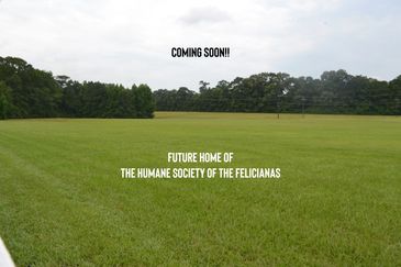 Exciting Things are Beginning to Happen!