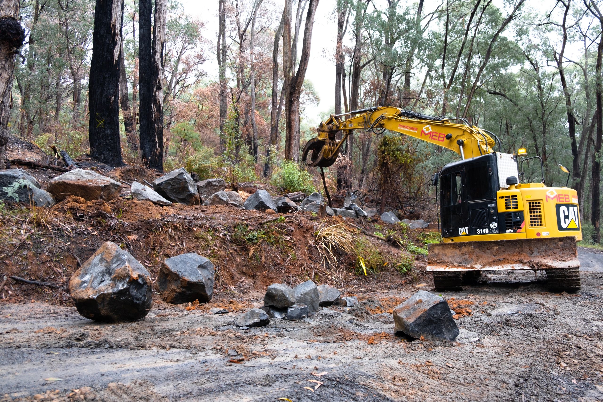 Forestry management machinery