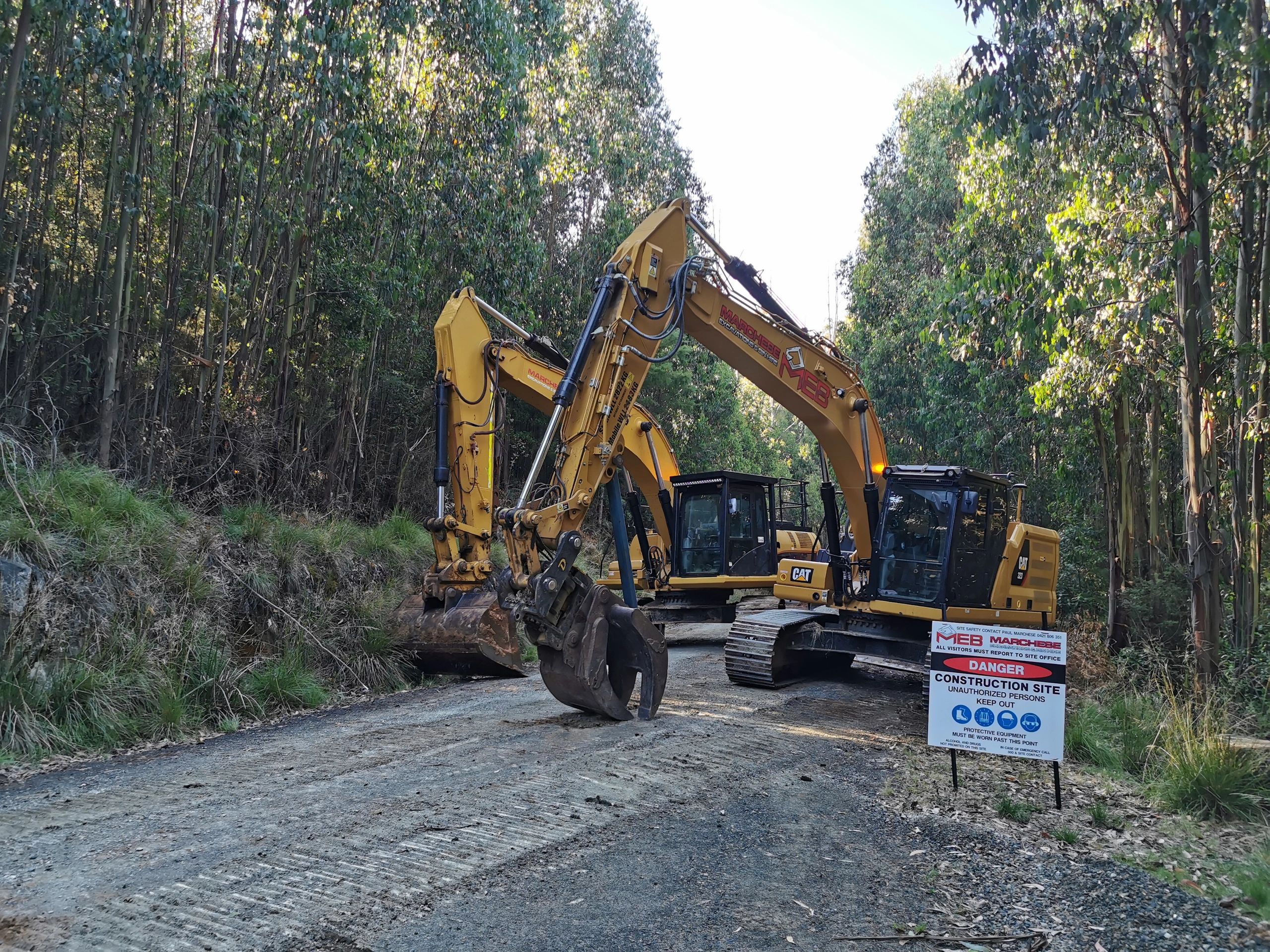 Forestry management site