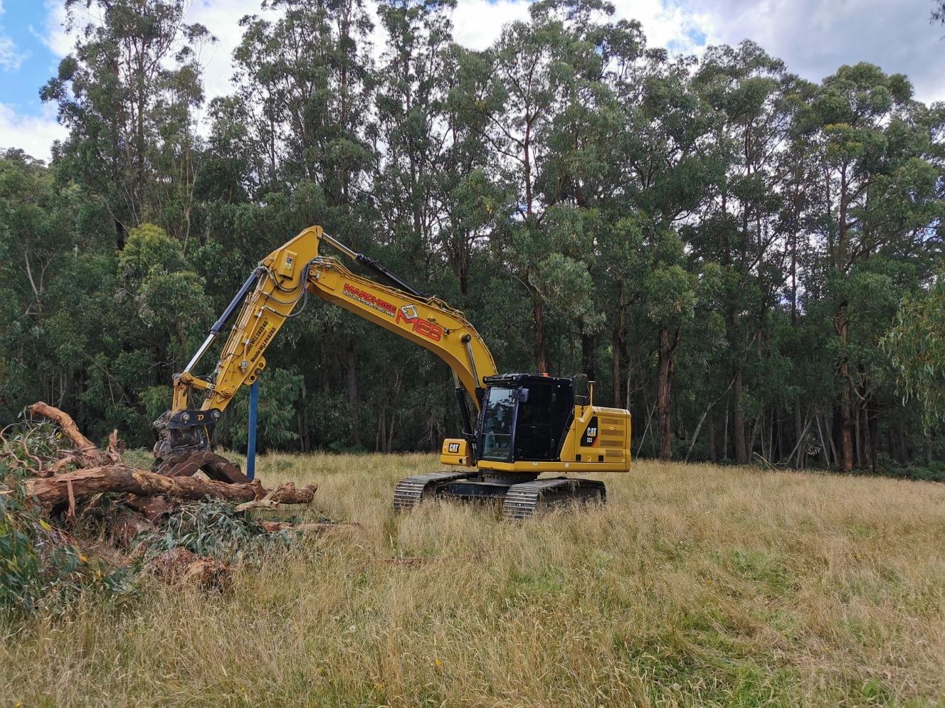 Forestry management operations