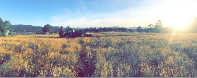 Agriculture works project