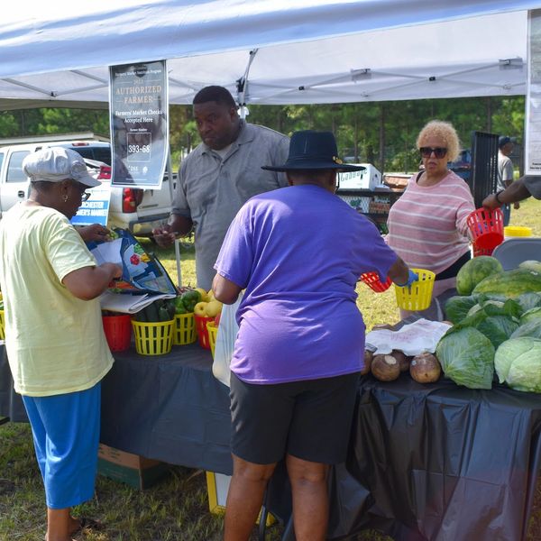 Farmer's Market 