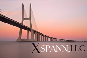 Ex-Spann Consultant