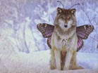 nwflupus.org