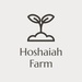              Welcome                                   to Hoshaia