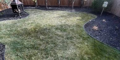 A backyard with a mulch bed around the perimeter that was just cleaned up of autumn leaves in calgar