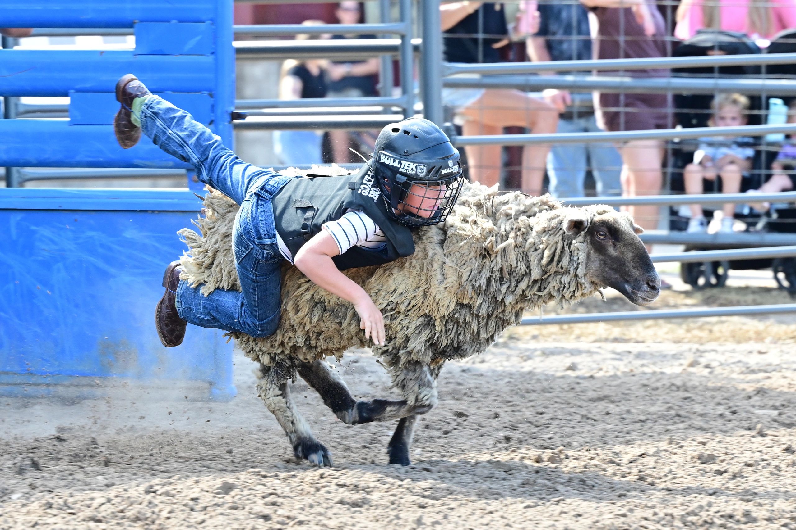 Mutton Bustin