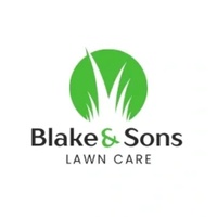 Blake and son's lawn care