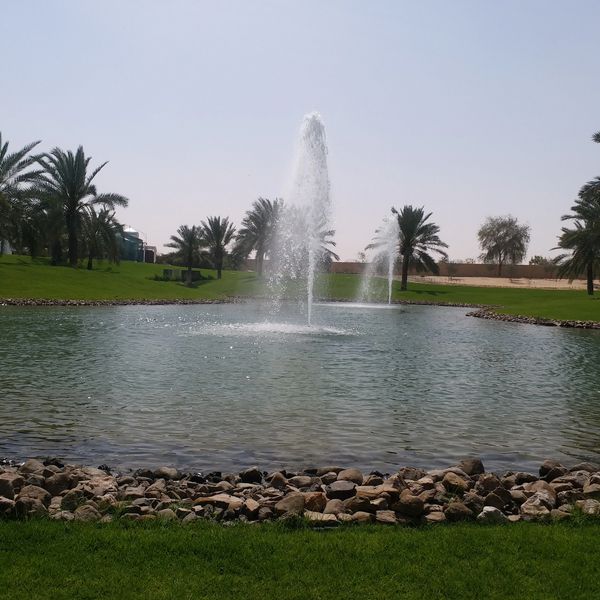 LANDSCAPE WORK 