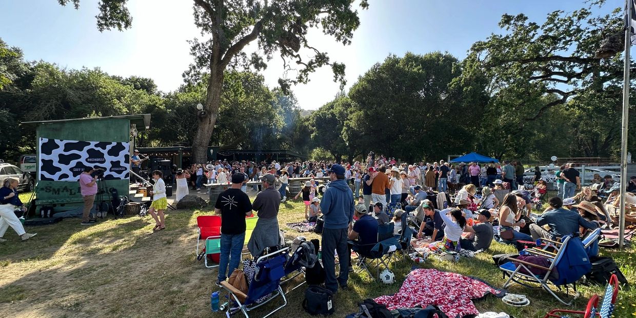 Outdoor gathering with people sitting on chairs and blankets under trees on a sunny day.