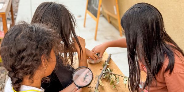 Three children examining objects with a magnifying glass outdoors.