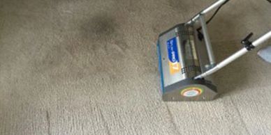 carpet cleaning, commercial carpet cleaning, cleaning, commercial cleaning service, carpet shampoo
