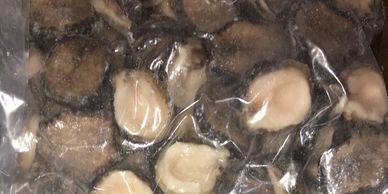 ABALONE LOCOS WILD PRD OF CHILE CA NAUTILUS SEAFOOD DISTRIBUTOR NATIONWIDE SQUID PROCESSOR CA WATER