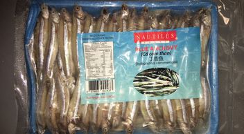 Anchovy gray blue anchovy seafood PAFCO seafood distributor nautilus fish fresh frozen squid 