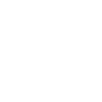 Lotus By Marcel