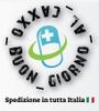 La magica giostra 