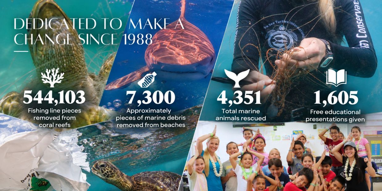 Infographic showing marine conservation achievements since 1988.
