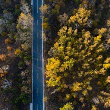 Aerial view of a road flanked by autumn trees with yellow leaves.