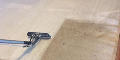 Duck's Carpet Cleaning working on a dirty carpet. 