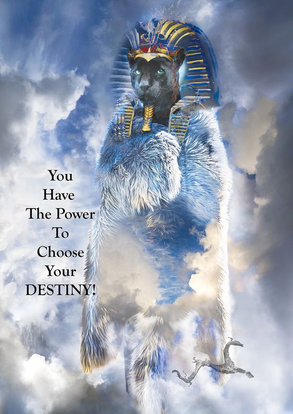 Jiela Rufeh
You have the power the choose your DESTINY 