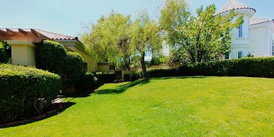 Beautifully maintained residential landscape in Las Vegas featuring lush green lawn by simonlawn.com