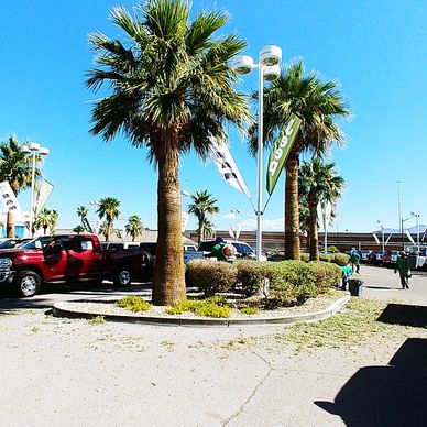 Commercial landscape maintenance at a Las Vegas car dealership. by Simon Lawn Maintenance 