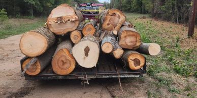 Tree and Brush Haul Off 