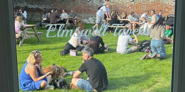 People enjoying a sunny day on the grass at Elmswell Tavern.