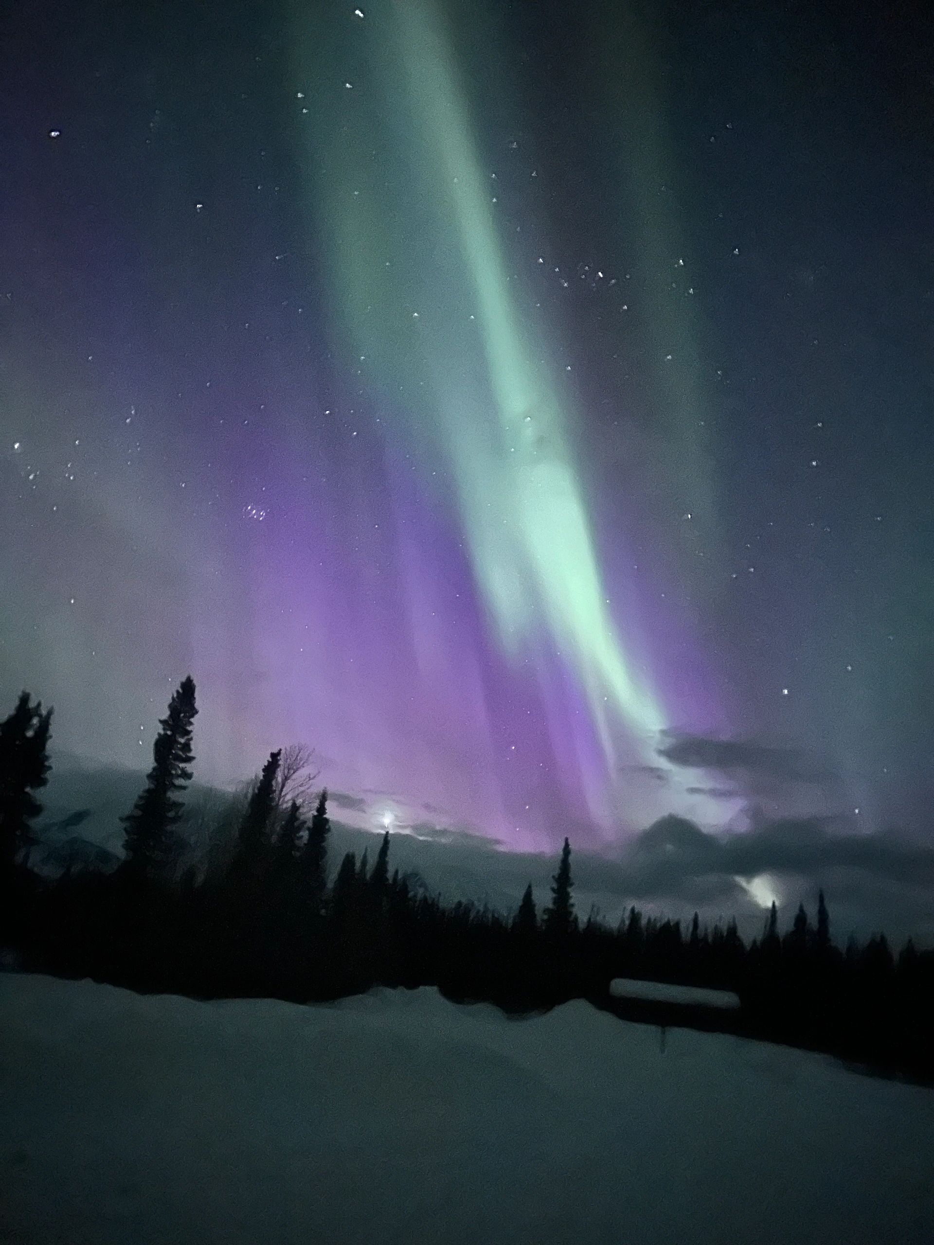 NORTHERN LIGHTS