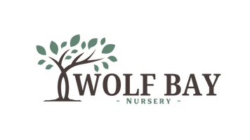 Wolf Bay Nursery
