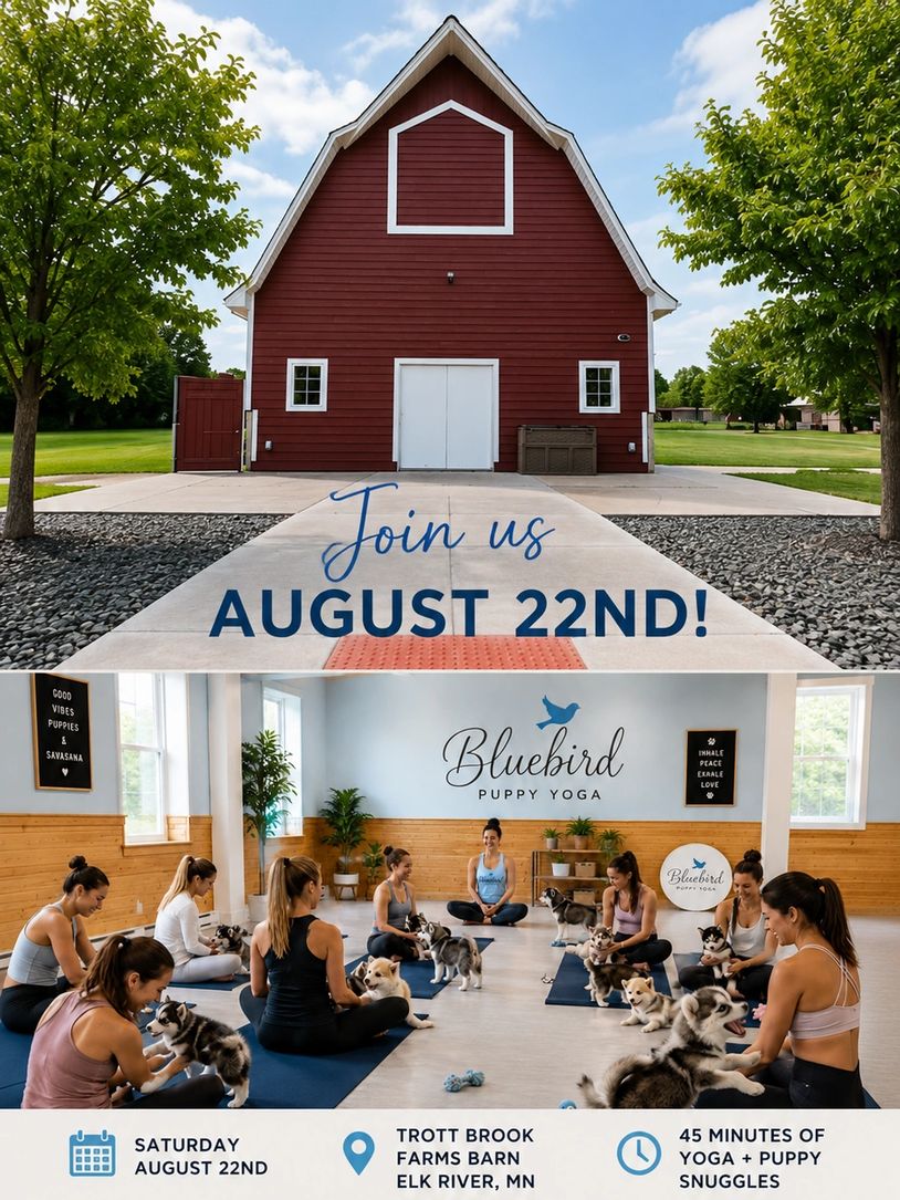 Event flyer for puppy yoga at Trott Brook Farms Barn on August 22nd.