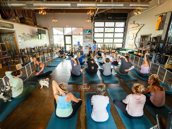Group yoga session in a spacious indoor studio.