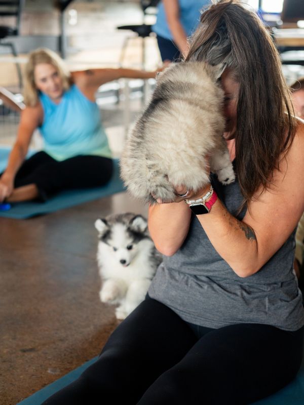 Woman holding a fluffy puppy during yoga with another puppy nearby.
