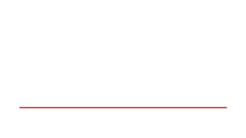 919 Politics