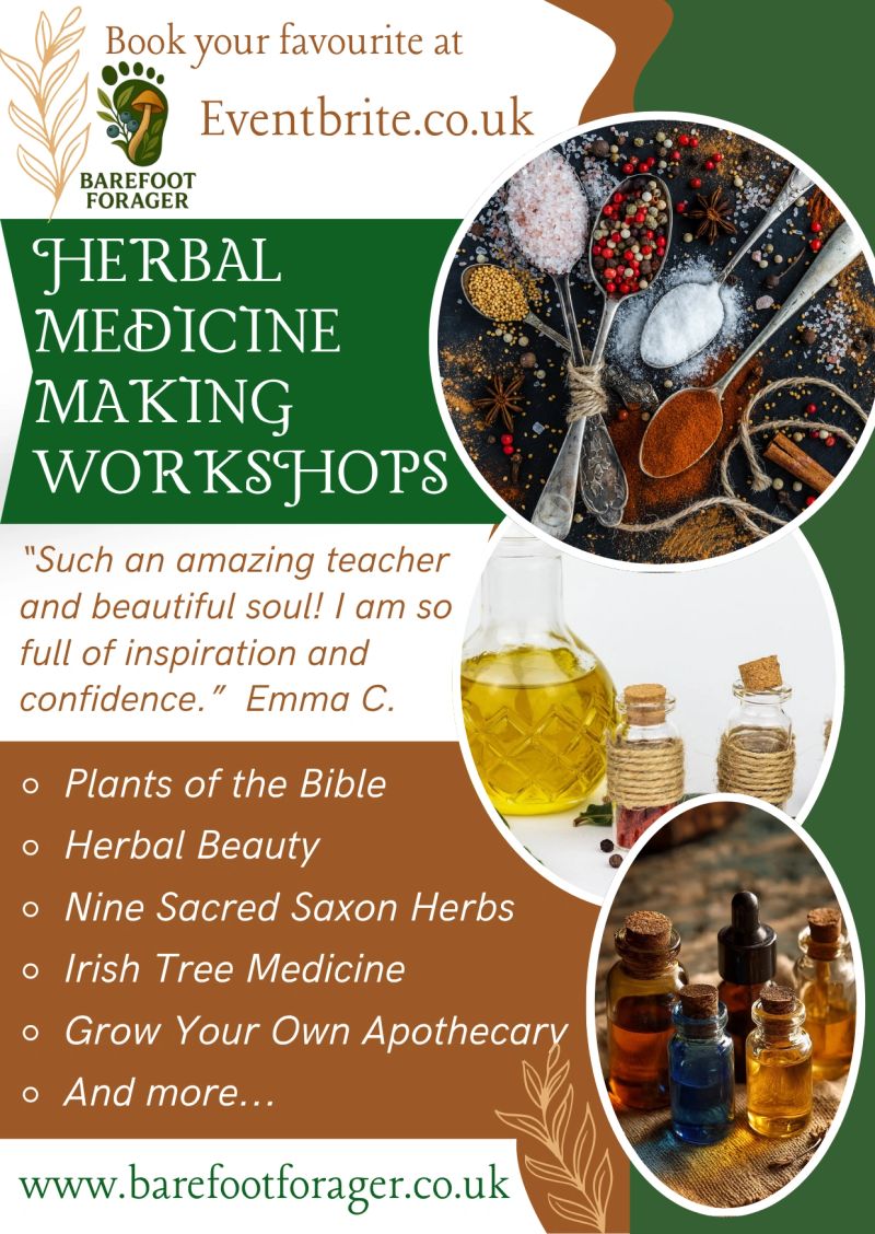 A5 Herbal Medicine Workshop Poster 2026.png