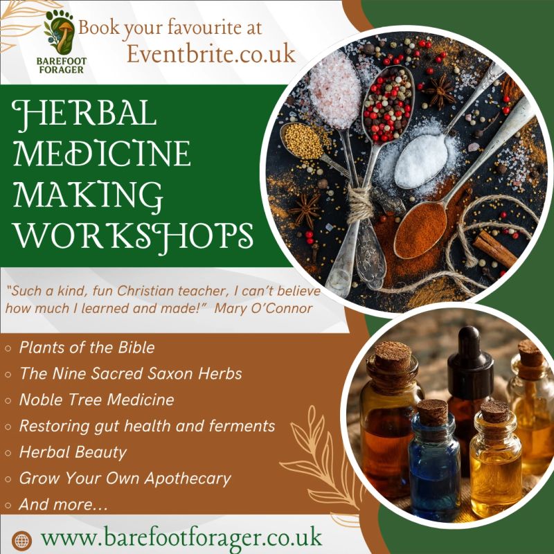 Herbal Medicine Workshop Poster 2026.png