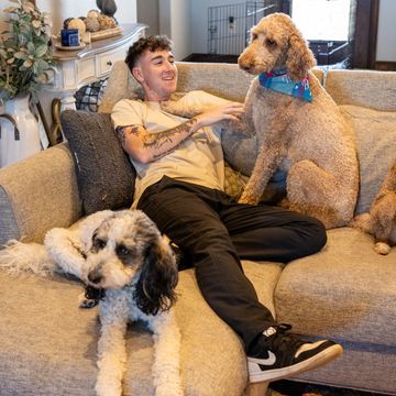 Man relaxing on a couch with two dogs, one sitting on his lap.