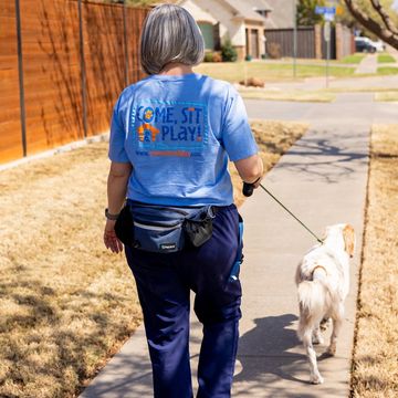 A woman walking a dog on a sidewalk in a sunny neighborhood.