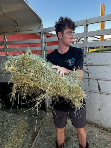 Young man carrying a large bundle of hay in a farm setting.