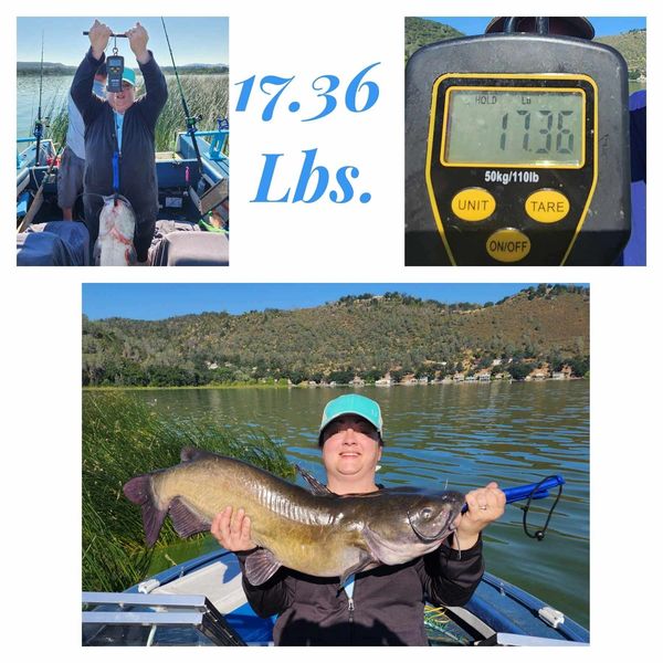 We catch large catfish
