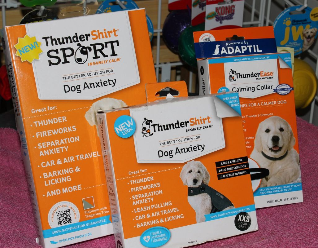 Toys Can Ease Your Dog's Separation Anxiety – Calming Dog