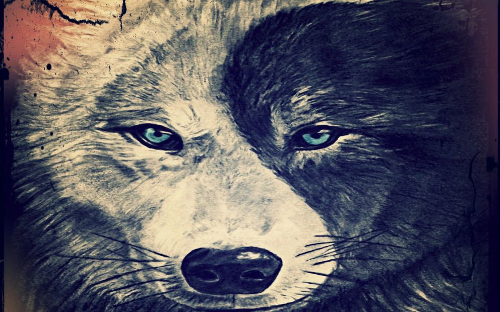 Spirit Of The Wolf Music is a Record Label that provides the best music, products and service.