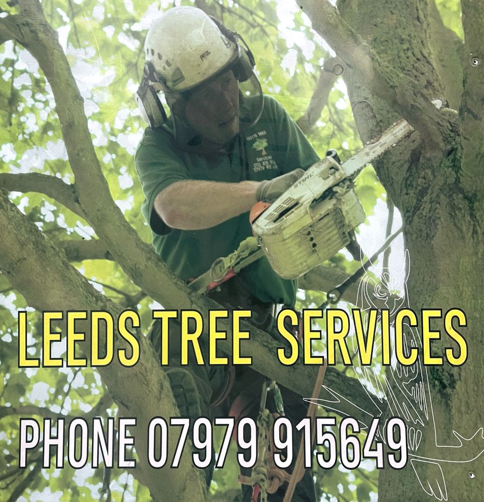 Tree Surgeon in Leeds - Tree Felling. Leeds Tree Services.