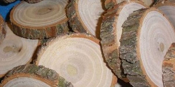 If you've never smelled Sassafras then give it a try if you love that sweet smell