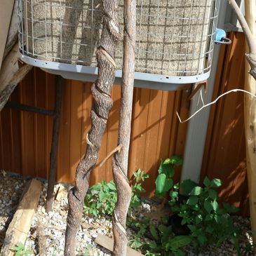 Made by nature and finished out by us, This is truly a masterpiece.