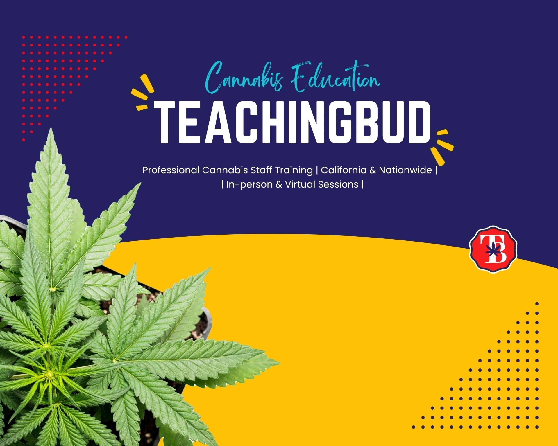 TeachingBud offers professional cannabis education with in-person and virtual staff training.