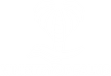 Ministry of Palms