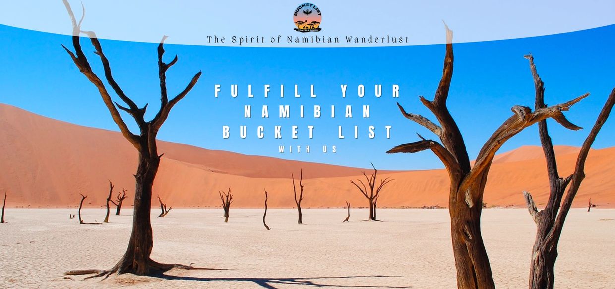Bucket List Travel & Tours