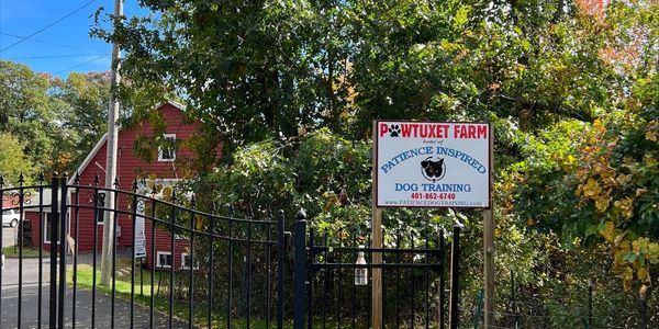 Front gate of Patience Inspired Dog Training